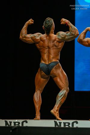 BODYBUILDING 102